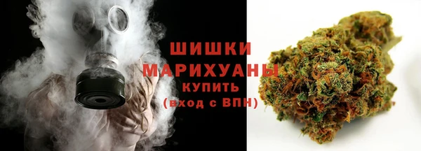шишки Бронницы