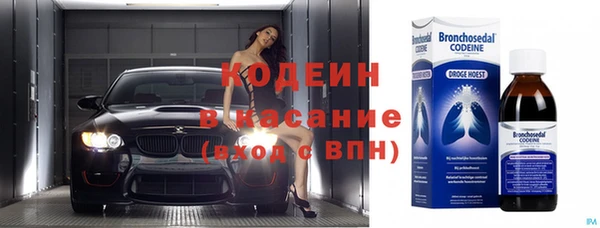 шишки Бронницы