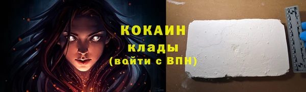 шишки Бронницы