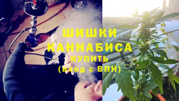 шишки Бронницы