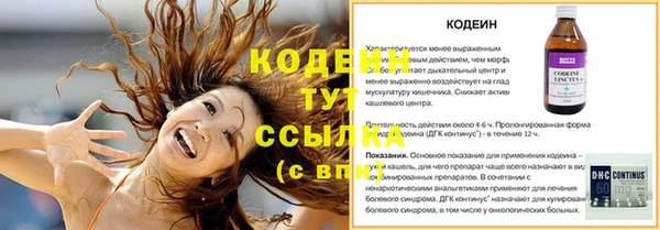 шишки Бронницы