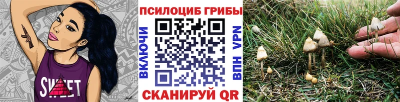 Галлюциногенные грибы мицелий  Дигора 