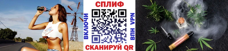 Бошки Шишки Amnesia  купить наркотики цена  Дигора 